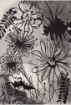 ABERDINE-ABE-8002